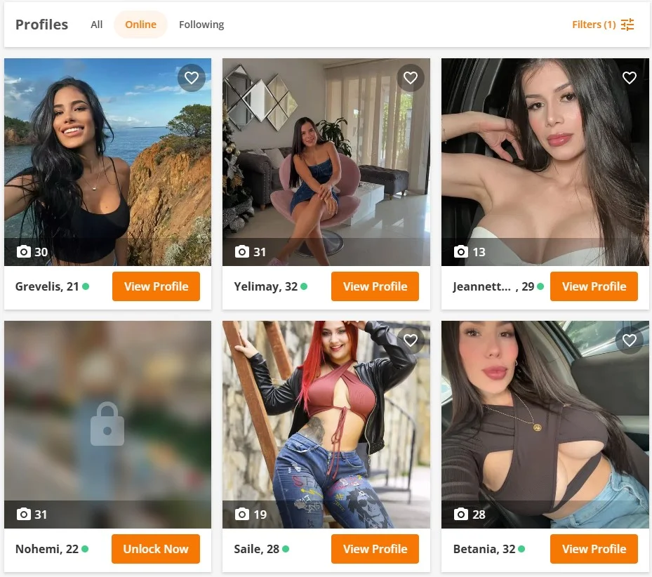 Advanced Search Filters